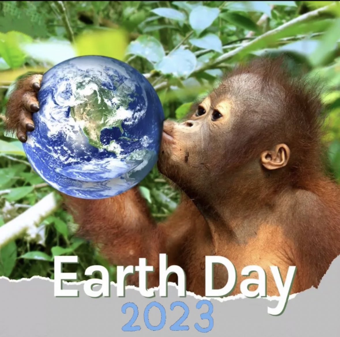 ScottShannonDJ's tweet photo. Let's wish for a planet where all living beings coexist in harmony, where natural resources are used responsibly, and where every individual takes action to protect and preserve our Earth for generations to come - Happy Earth Day! 🌎♻️🦧 https://t.co/HNM9YE5bbC