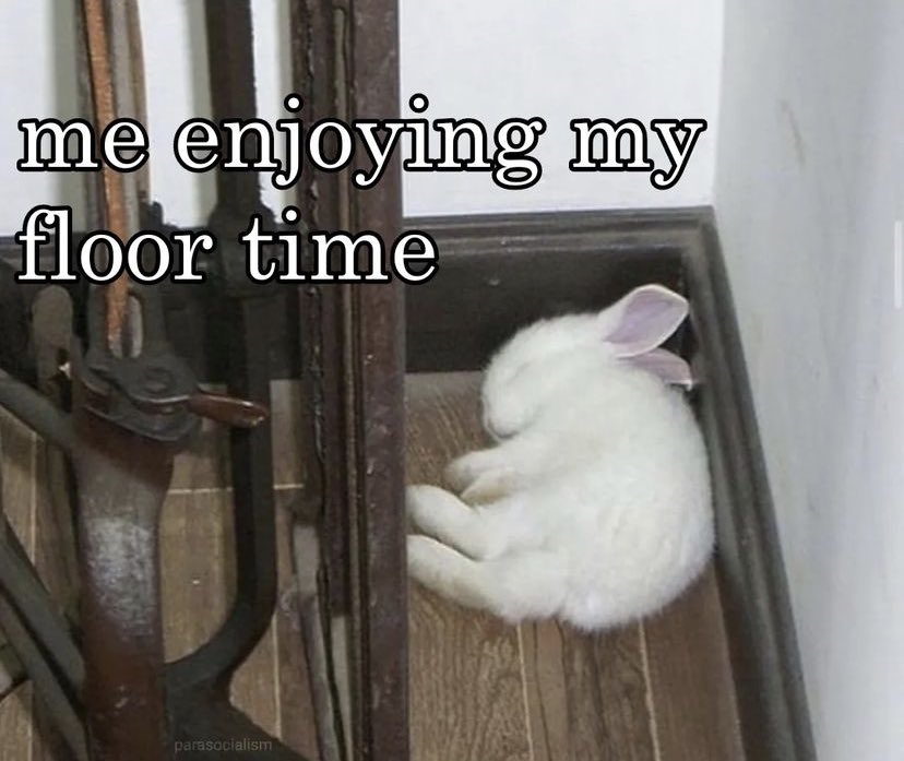 ✧ (@northstardoll) on Twitter photo 