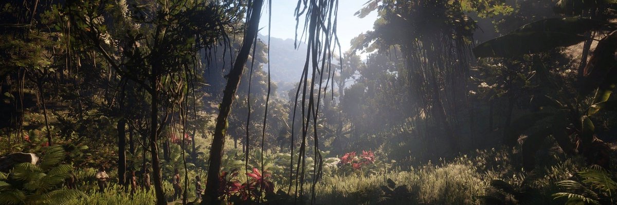 R0ckeylili0's tweet photo. The #jungle from #RDR2 in #guarma
#ROCKSTAR #captures #PhotoMode #gaming #videogames https://t.co/xFBwAKw7NJ