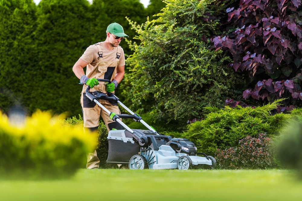 uberartisan's tweet photo. Take your landscaping game to the next level with Greenworks Tools' affordable and #ecofriendly outdoor power tools! Their #sustainable solutions keep your lawn and wallet green. 🌿💸 #sustainability  #EcoGiftsDay #EarthDay2023  

https://t.co/0xXNZ6SFH2 https://t.co/H2VOaik6bg