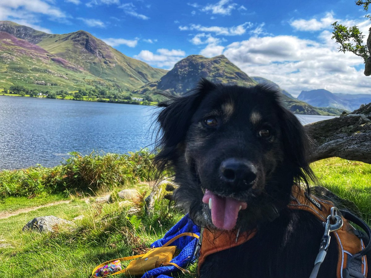 keswickbootco's tweet photo. If you See this in your news feed please give us a like or a RT as Twitter now hides anyone who hasn’t got blue tick 🔷thanks to @elonmusk #EarthDay #SmallBusiness 👍🥾🧦 https://t.co/XCrBRsuRR8