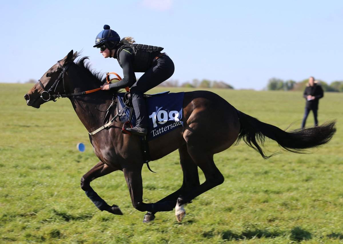 #VillageVoice wins @NavanRacecourse @EquineWc @Tattersalls1766 @BrzUps #SalsabilStakes congratulations 🎊