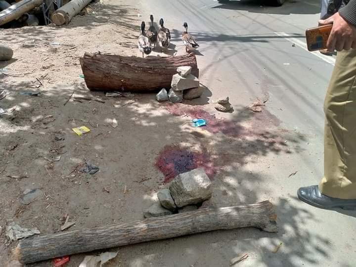 پاکستانی میڈیا کو کراچی کے چڑیا گھر کے ہاتھی کا مرنا بریکنگ نیوز لیکن گانچھے کے 6 بچوں کو عید کے روز فوجی میجر کا گاڑی سے کچلنا کوئی اہمیت نہیں رکھتی ہے
