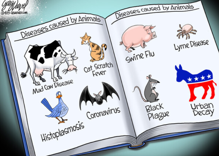 PaulSchimpf's tweet photo. Hope your weekend is off to a great start. Ethan's track workout is in the books, now it's time for tennis with Garrett, then some overdue yard work. Here's my favorite cartoon from the week. If you want to see where progressive policies will take us, look at our major cities. https://t.co/03eCTgh3g2