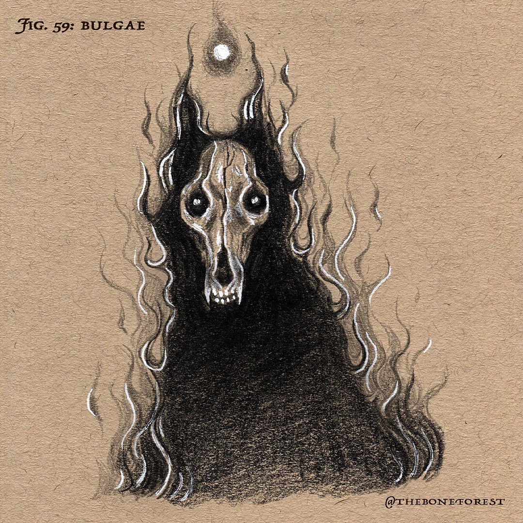 theboneforest's tweet photo. Fig. 59 : Bulgae 🌿 (59/100)
•
#art #illustration #pencil #graphite #gelpen #bestiary #otherworld #horror #horrorart #mythology #folklore #creatureart #the100dayproject #the100dayproject2023 #100daysofbestiary #bipoc #asian #korean #bulgae #firedog #dog #hellhound #불개 https://t.co/Q3LIbtWW8l