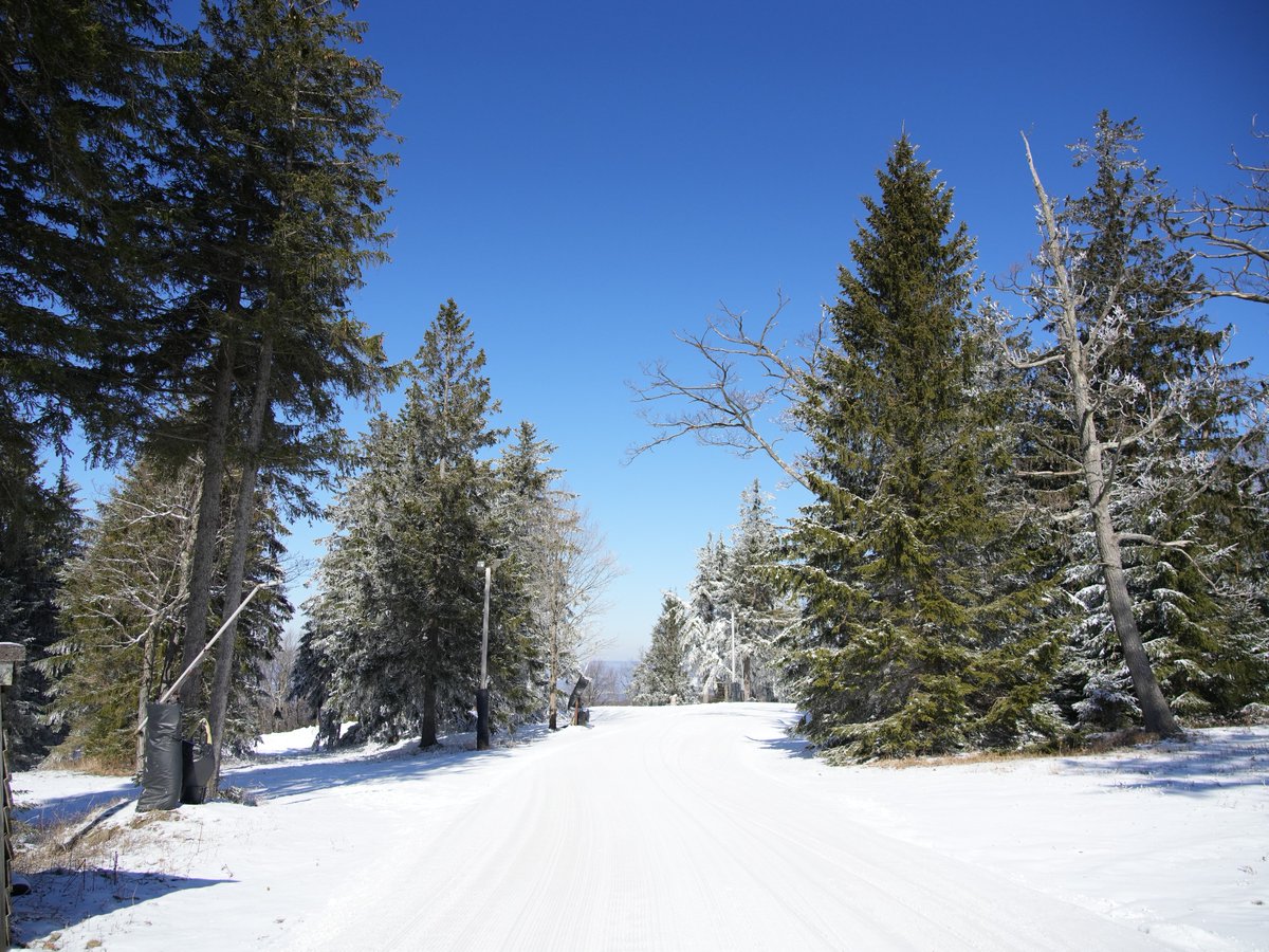 Laurel Mountain Ski tweet media