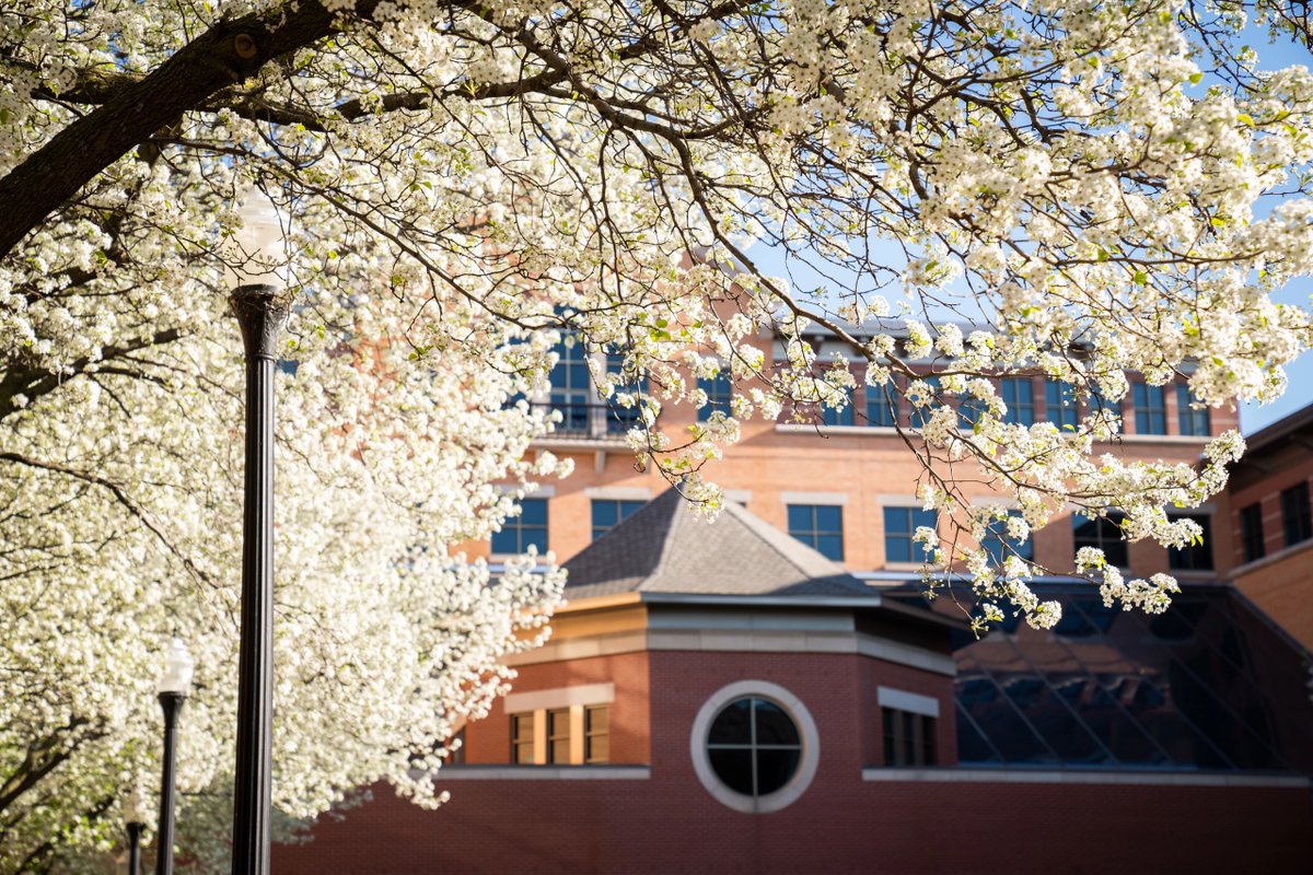 GVSU's tweet photo. Happy Earth Day! 🌎 We love seeing campus in every season 💙

📸: Amanda Pitts, Lauren Seymour, Kendra Stanley-Mills https://t.co/OvrMwR2QOq