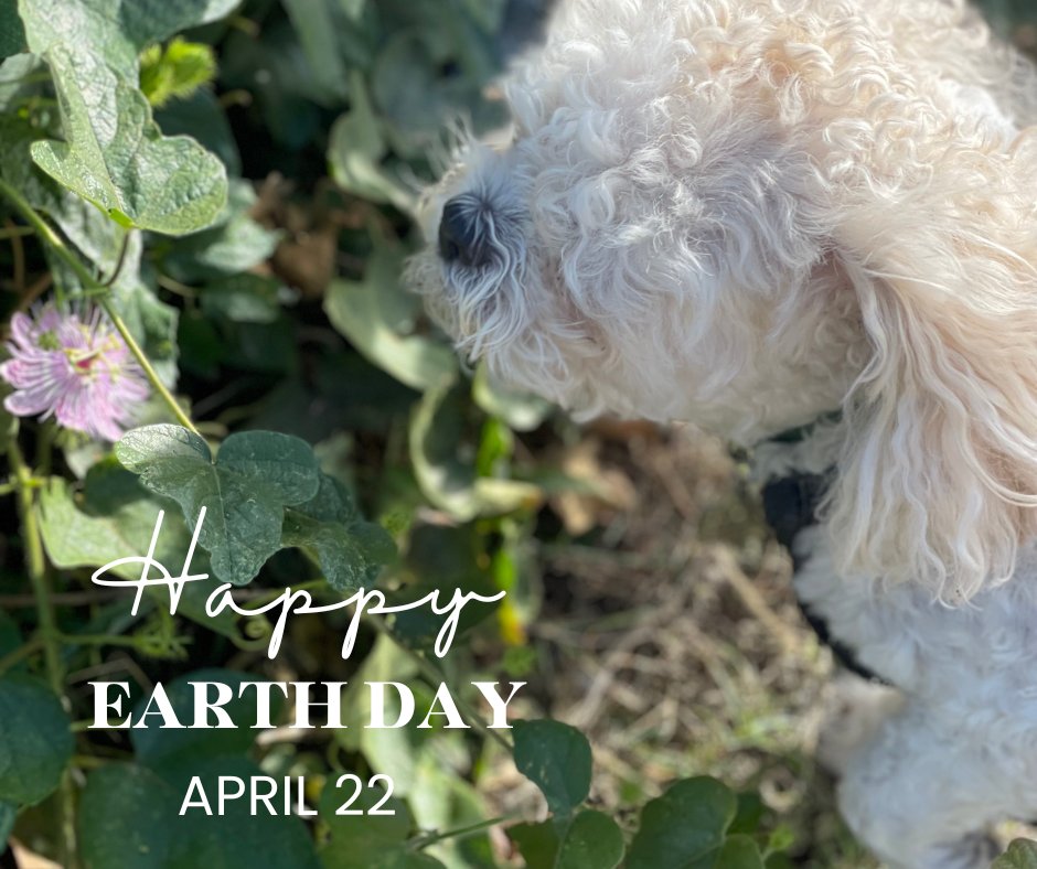 DaisyCares tweet media