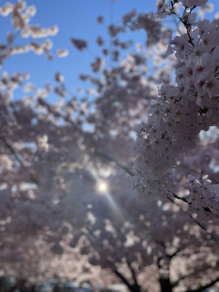 orgo_earth's tweet photo. Happy Earth Day! 🌎 🌳
Today’s the day! Head over to https://t.co/Fv7ccOfZo8 and sign up for our Earth Day Event task! We will be rewarding each submission with 100 EARTH POINTS and posting/tagging your photo on Twitter! #earthday #createanimpact #spreadlove https://t.co/hqVpTSO5QV