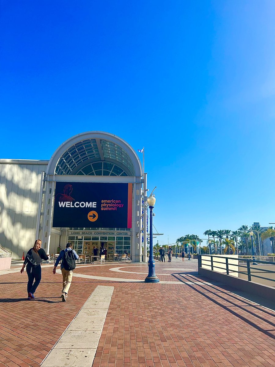 Lisa Ivatt tweet media