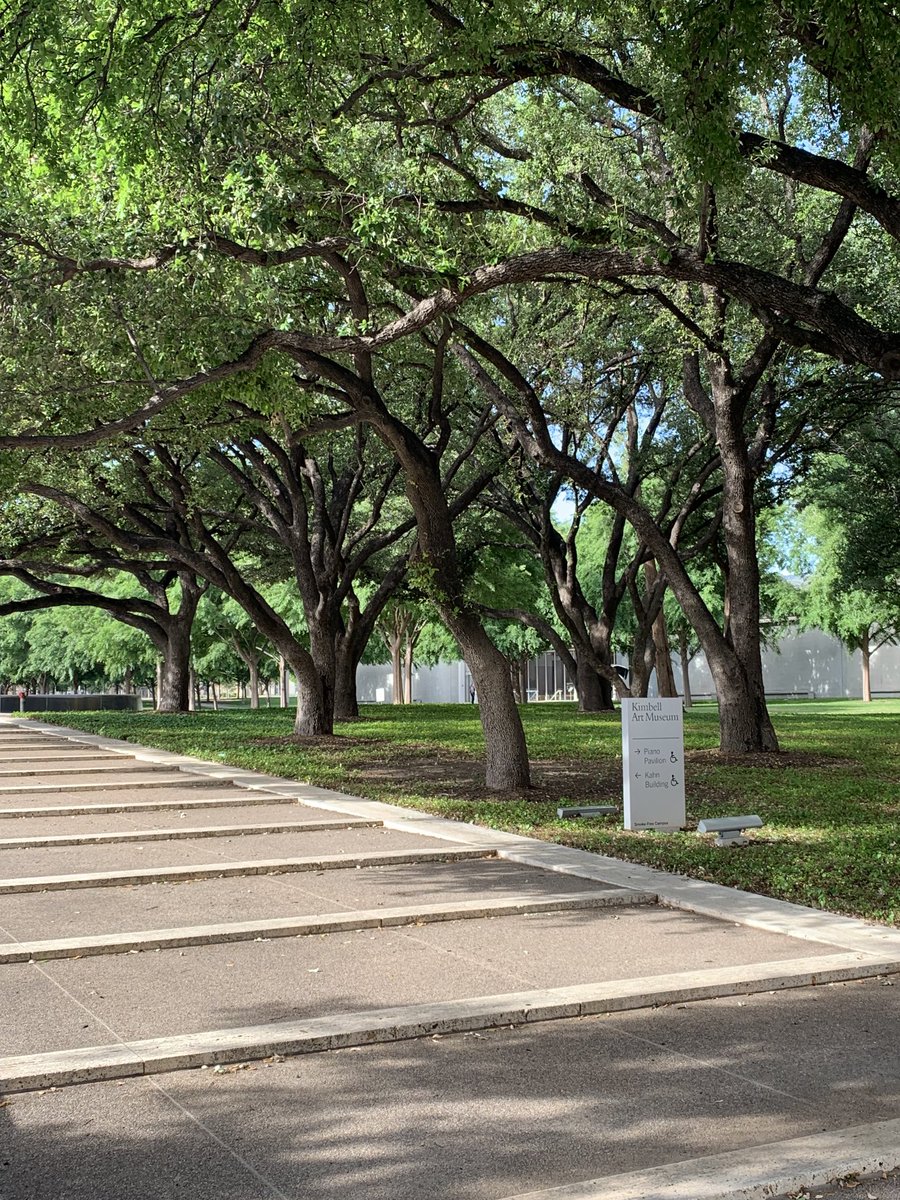 bakintas's tweet photo. A beautiful morning @KimbellArt. Looking forward to today’s panel discussion on art conservation. #gotoamuseum https://t.co/FjfcWBDLyE