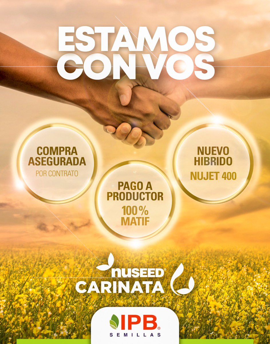 BRACARSRL's tweet photo. Una buena alternativa para este invierno! https://t.co/aQTCwfEXUI