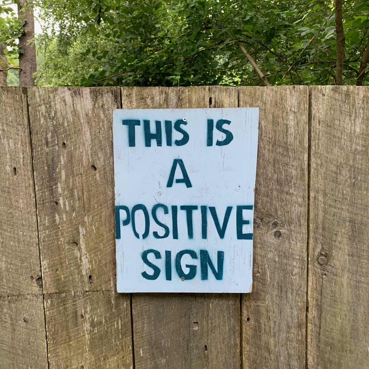 Daniel Silliman tweet media