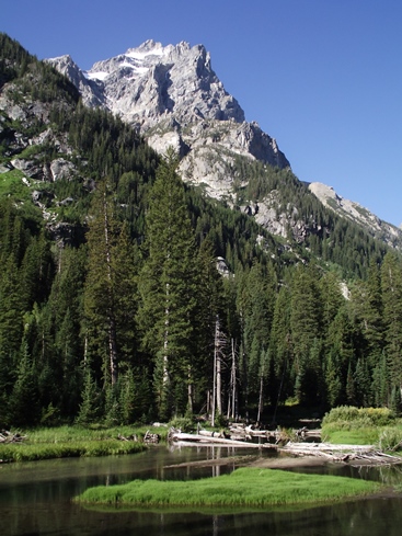GlacierHiker1's tweet photo. Lake Solitude in #GrandTetonNationalPark just about has it all: a beautiful subalpine lake, stunning mountain scenery, wildlife, wildflowers, the largest waterfall in the park &amp; the stunning Cascade Canyon: https://t.co/YqNDDSo98S

#NationalParkWeek
#MyParkStory
#NPSConnection https://t.co/RT3q7Ga9GJ