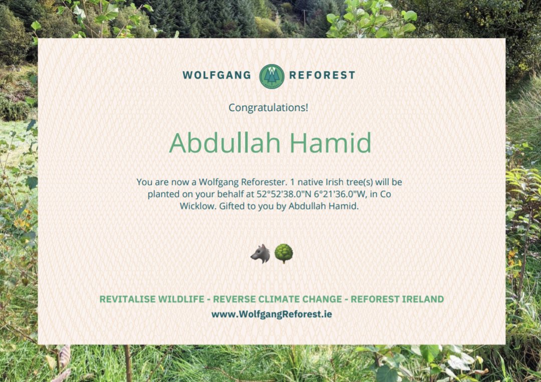 abdullah_hamid's tweet photo. In celebration of Earth Day today, I'm helping plant a tree in Ireland 🌲🌎 #EarthDay #EarthDay2023 #reforestation #wicklow #ireland #GreenEntertainment #PlantaTree @elliegoulding https://t.co/WCXZIIbobV