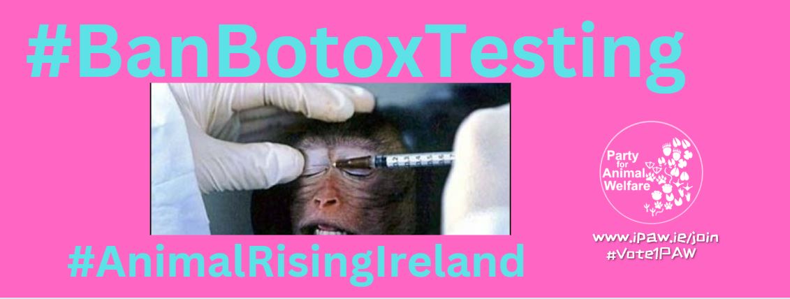 AnimalPartyIE's tweet photo. MONDAY, 24 APRIL 2023 AT 12:00 UTC+01
World Day For Animals In Laboratories Demo,
The HPRA, Dublin, Ireland. RTW
https://t.co/DjHIuyUmpR
#BanBotoxTesting
@AnimalRising
@theIAVS
@SAFRIreland
@NARACampaigns
@Party4Animals
#EndAnimalTesting
@watch_welfare https://t.co/ETbVtrzK76