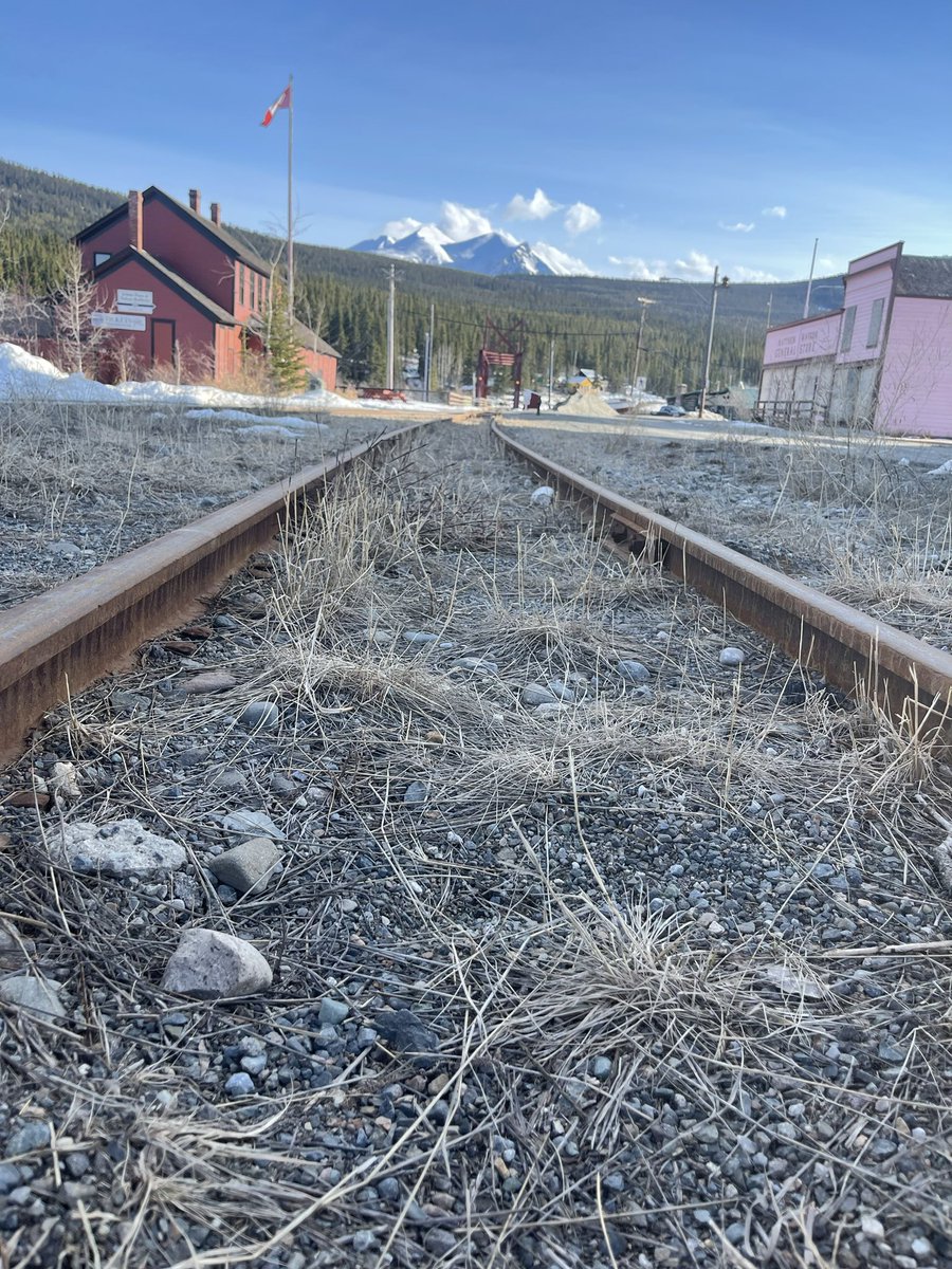 klondikesue's tweet photo. Carcross! #whitepassrailroad #exploreyukon #roadtrip #yukon #carcross #destinationCarcross #narrowguagerailroad #MatthewWatsonGeneralStore https://t.co/UAE5cyFryo