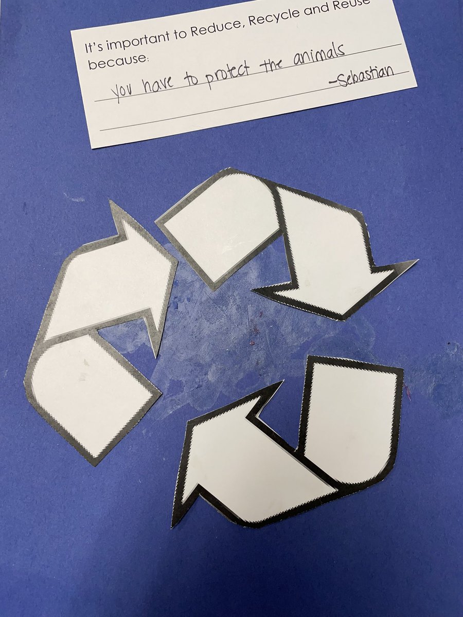 Danielle Shubert tweet media