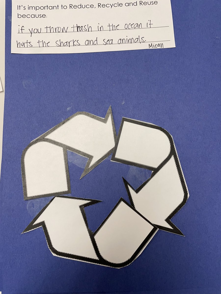 Danielle Shubert tweet media