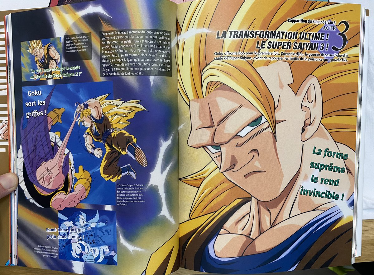 Treevax on Twitter: "Merci encore à @Glenat_Manga d’avoir fait une VF