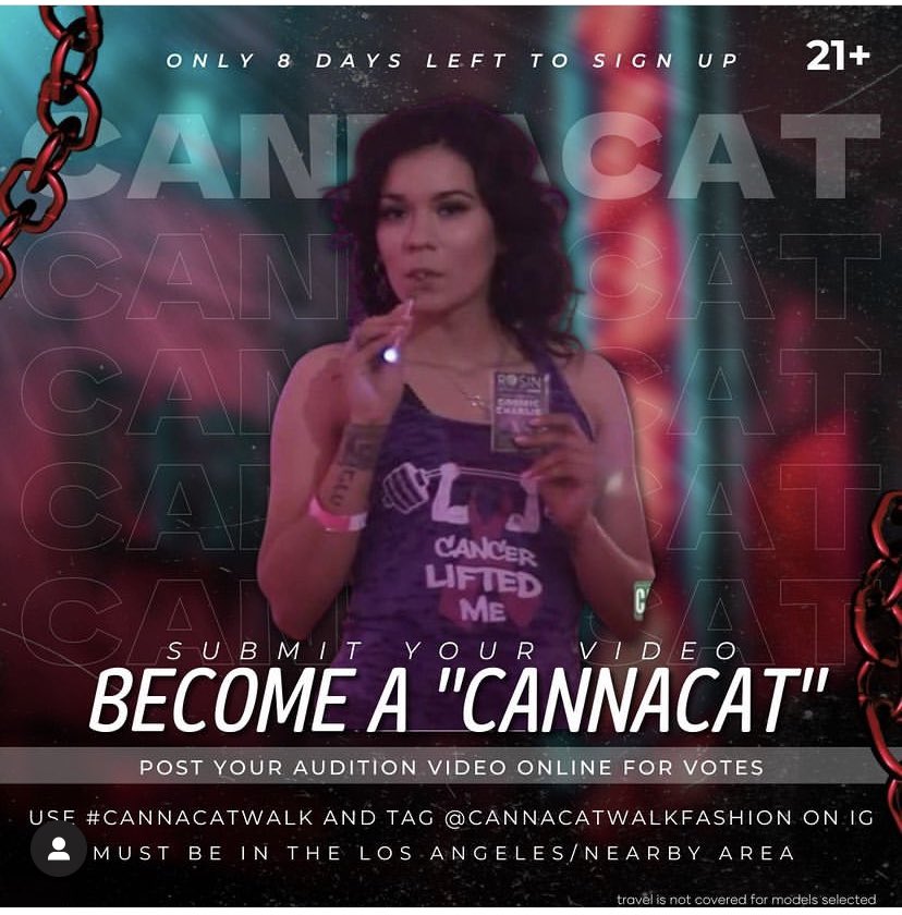 Go to IG and submit your video by tagging #CannaCatwalk and tag @Cannacatwalkfashion on IG

#cannacatwalk #lareinademota #losangelesevent #cannabisculture #originalfusionfashionshow #skaterculture #hiphopculture #chicanoculture #TikTok #instagramcontest