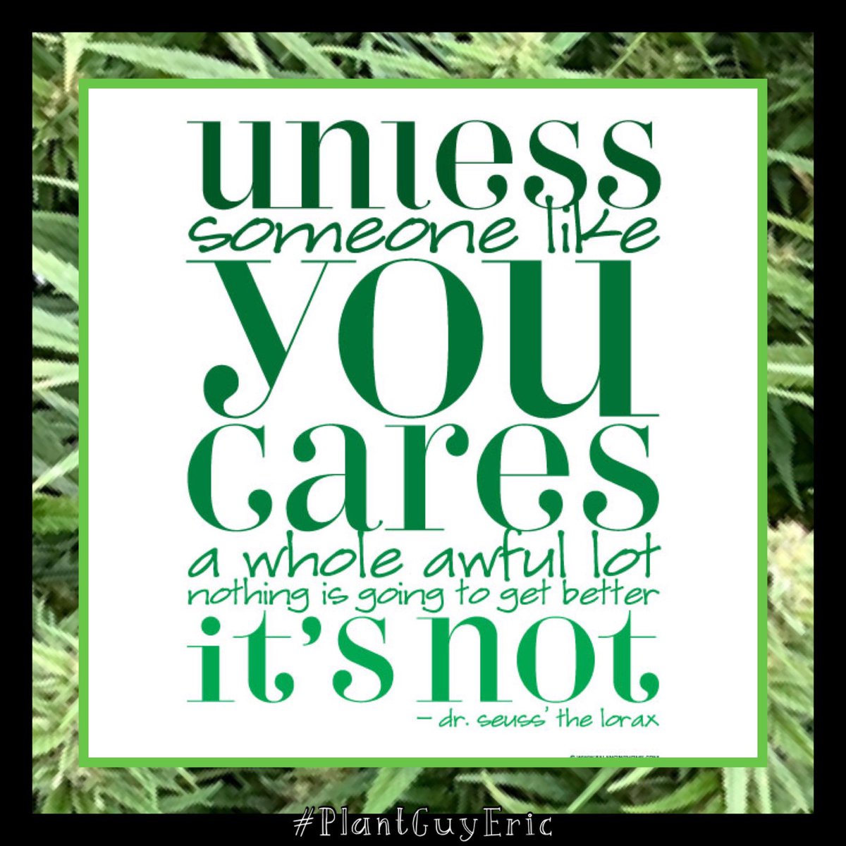 420LisaZ's tweet photo. Happy Earth Day! ✌🏼🌏🌳🌱🌲 https://t.co/kyOajf7l5G