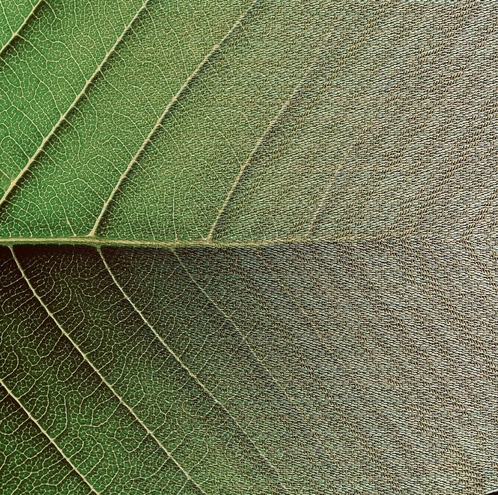 Design_Oneline's tweet photo. Earthday 2023 we are excited to highlight a fantastic vendor @2tec2flooring who strives to provide #sustainable products to the #interiordesign field, swipe to see more info on a few of their collections… Their Strata collection a bio-based woven flo… https://t.co/0IyUKr9umT https://t.co/35L0KEK7uw