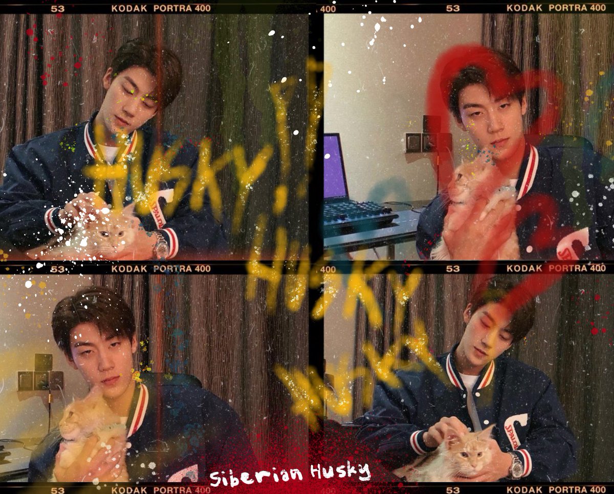 myfevmove's tweet photo. * husky boi @myfevmove
‘ นี่คือไซบีเรียนที่ดื่มเนเจ้อกิ้ฟ ☕️🔥 ’
— #LPPU_CM / START!! https://t.co/SY8dLbfq98