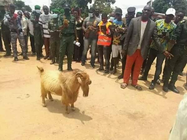 DelphineSankara's tweet photo. 🔴CIV🇨🇮/Fasciné par la Culture des #Yacouba, #Koyaka, #Gouro, #Krou, #Obê, #Baoulé, #Agni, #Odienneka, etc.
La CIV🇨🇮 réelle a gardé nos Traditions...

Vive la Culture #Sénoufo !
Nous allons redonner vie à nos croyances, traditions, malgré les dérives de la #Démoncratie https://t.co/FV6bVjEQva