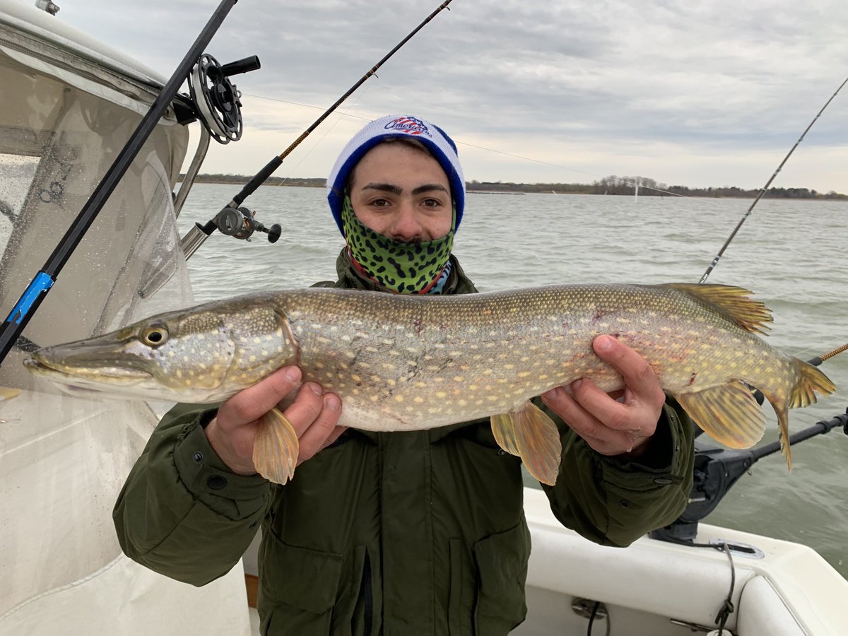 JammerSportFish's tweet photo. Ran our first charter of the season on Thursday. Got a bunch of nice browns and a surprise northern pike!  Still lots of openings for the early Brown bite. DM me with questions or to book your day. https://t.co/yWsNQrdcdF