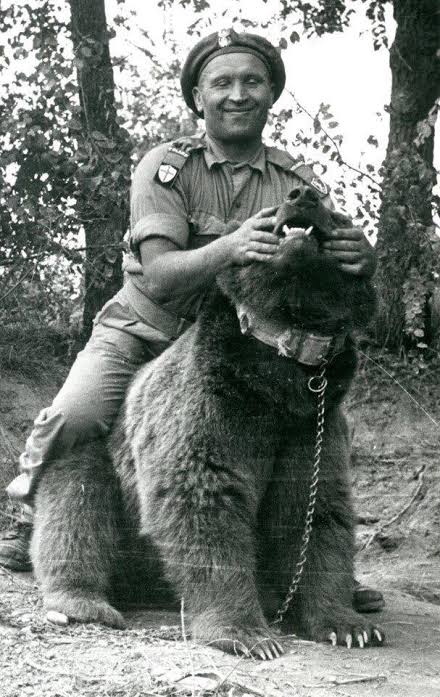 Quando falamos sobre a Segunda Guerra Mundial, é impossível não pensarmos em homens heróicos com grandes feitos. Generais, snipers, e, claro, os ursos-siríacos que tomavam cerveja!

Quer conhecer mais sobre o Ursinho Pooh da cachaça? Então senta que lá vem a história, arrombado!