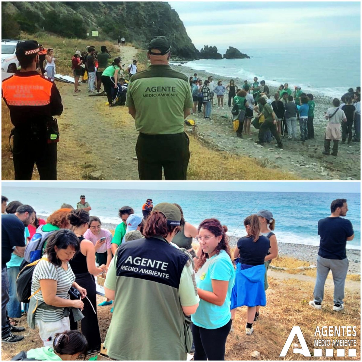 Agentes Medioambientales de Andalucía tweet media