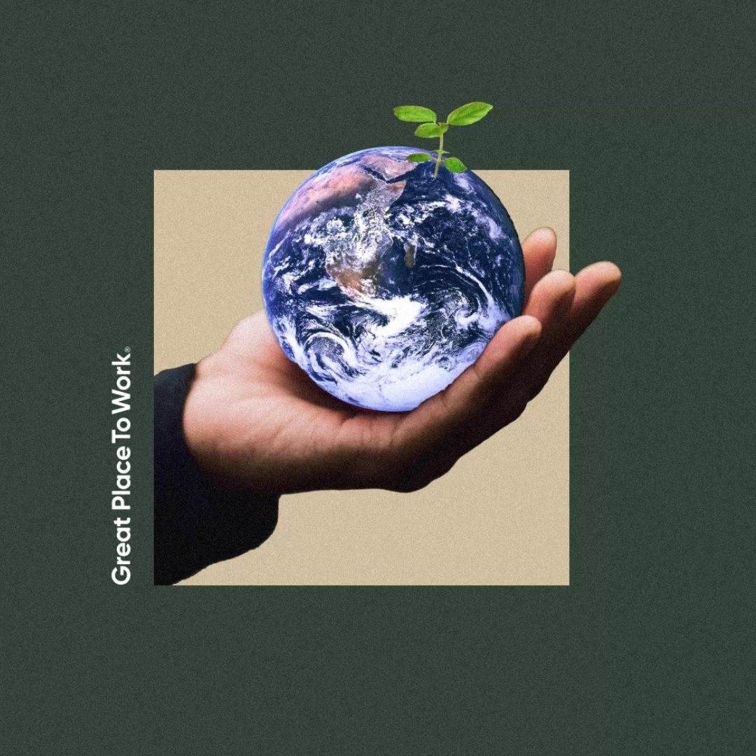 Great Place To Work Official tweet media