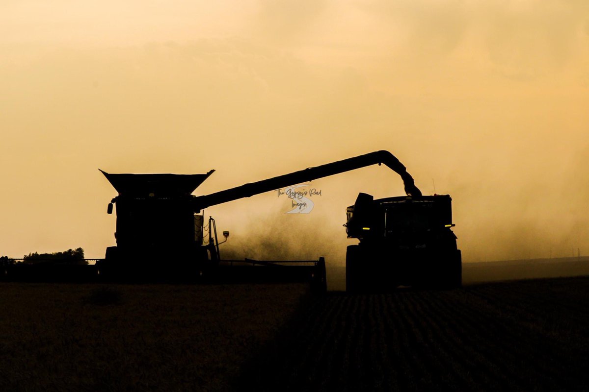 On the hunt for 1 more CDL carrying truck driver to make the ‘23 run with us. 
We start in about a month in southern OK and gypsy our way to the Canadian border in MT. 
Room and board + groceries provided. 
Email panhandleharvestingllc@gmail for further info.