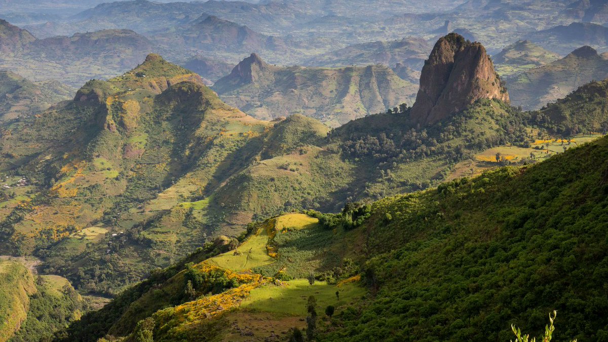 The Semien Mountains, which are home to the indigenous Semien Fox, Ethiopian Wolf, Walia Ibex, and Gelada Baboon, live up to the expectations of a UNESCO World Heritage Site.
#VisitAmhara