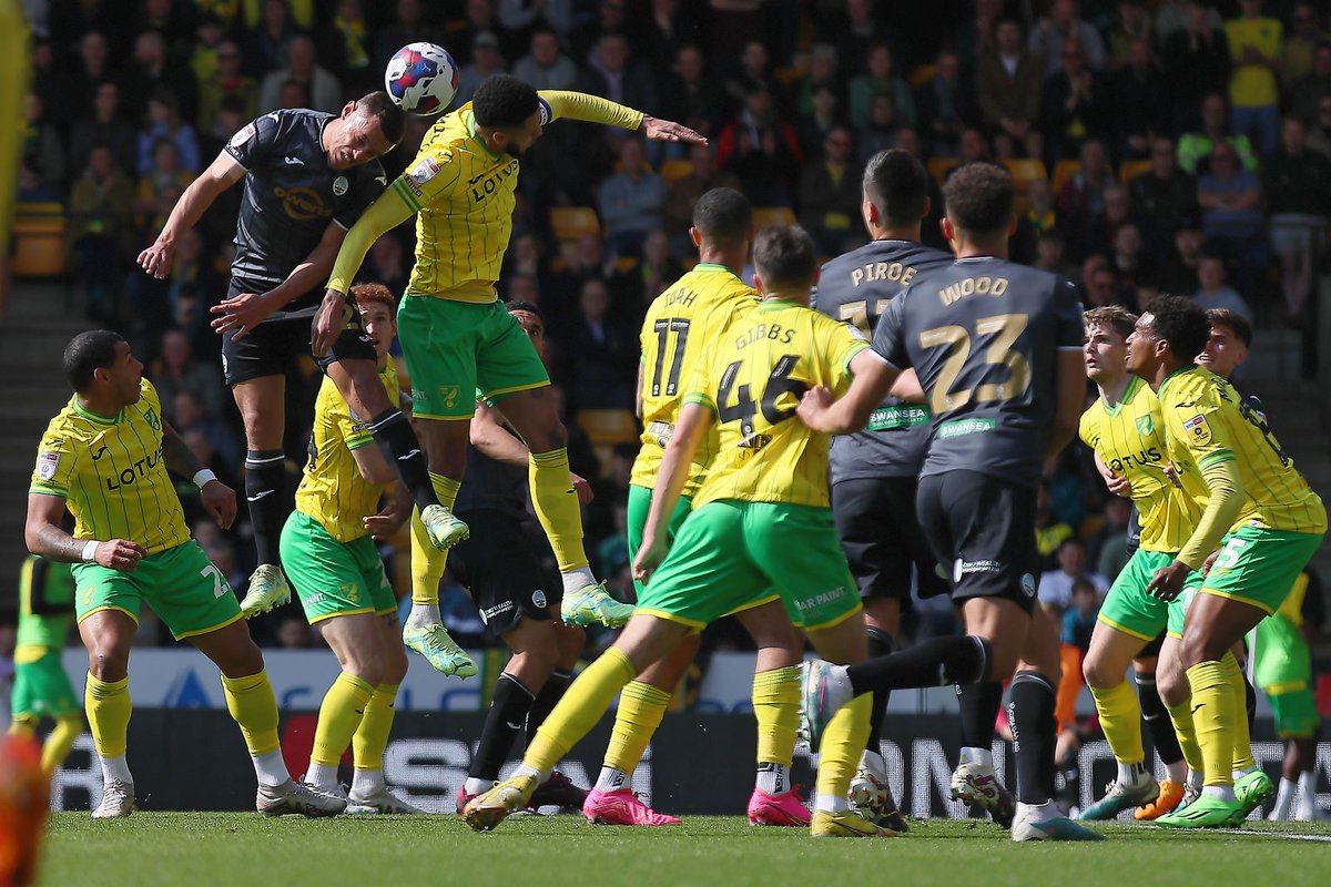 Proud Swans tweet media