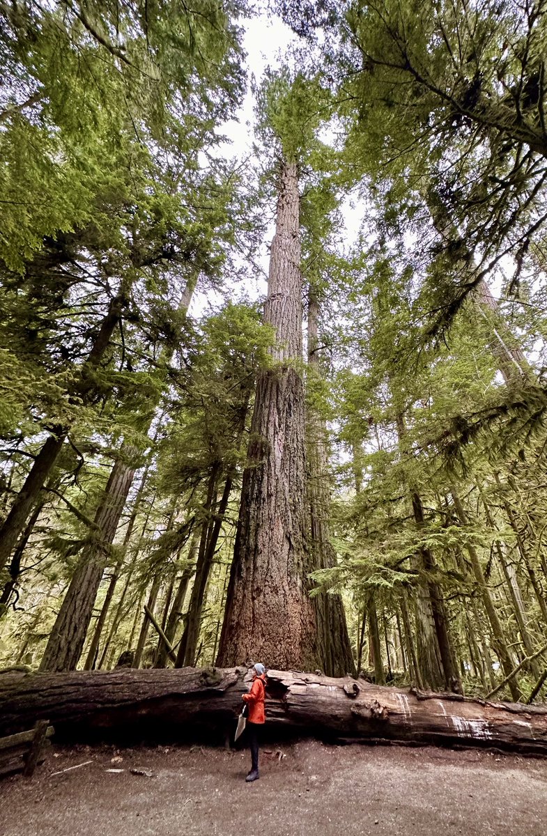 Offering tobacco/prayers from coast2coast &amp; everywhere in between. On this #EarthDay, let’s do our part to fulfil our sacred responsibility of honouring &amp; taking care of #MotherEarth today &amp; for the generations to come. Here are a few pics from my journeys across Turtle Island