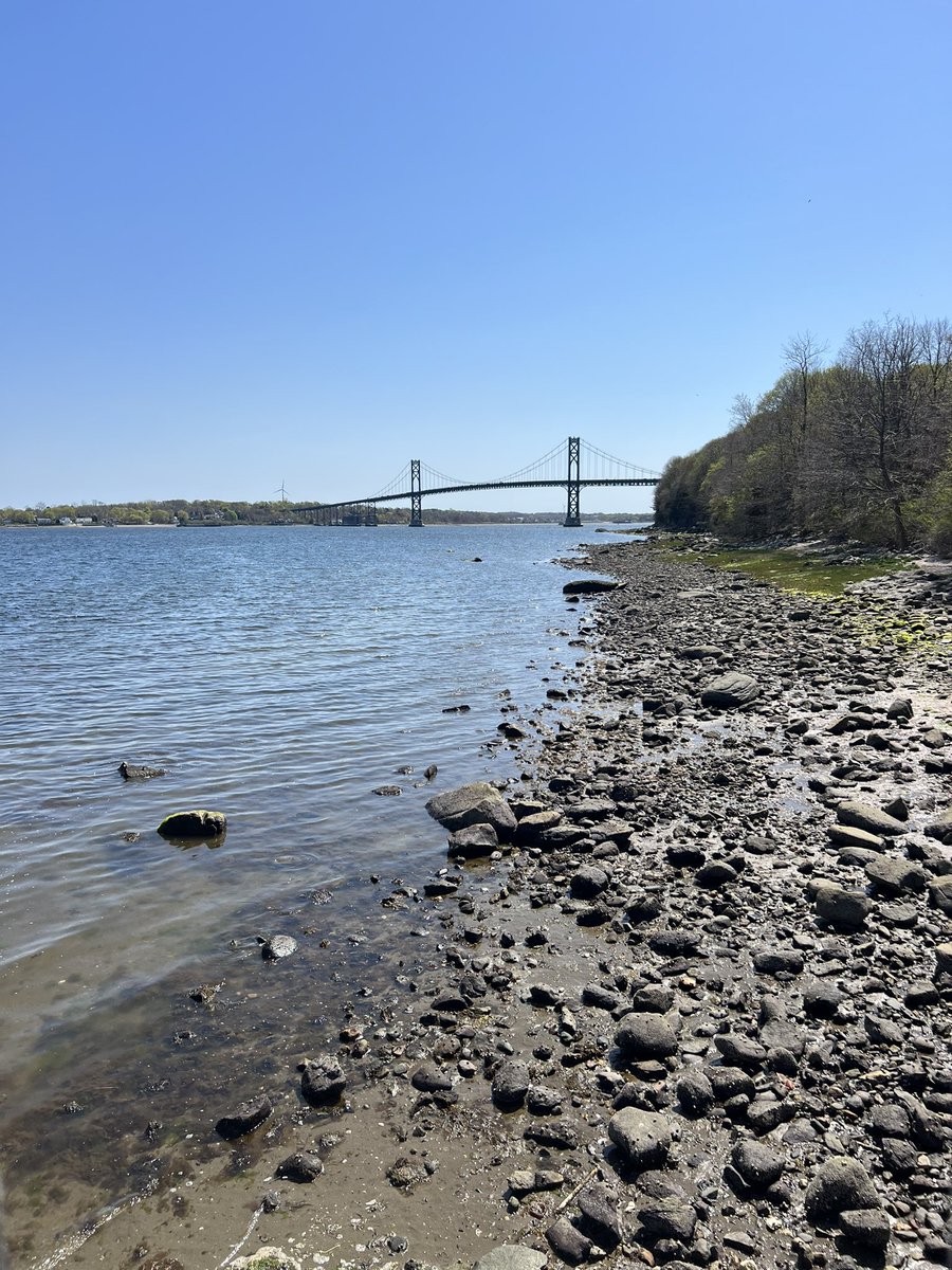 Chris R. Vaccaro tweet media