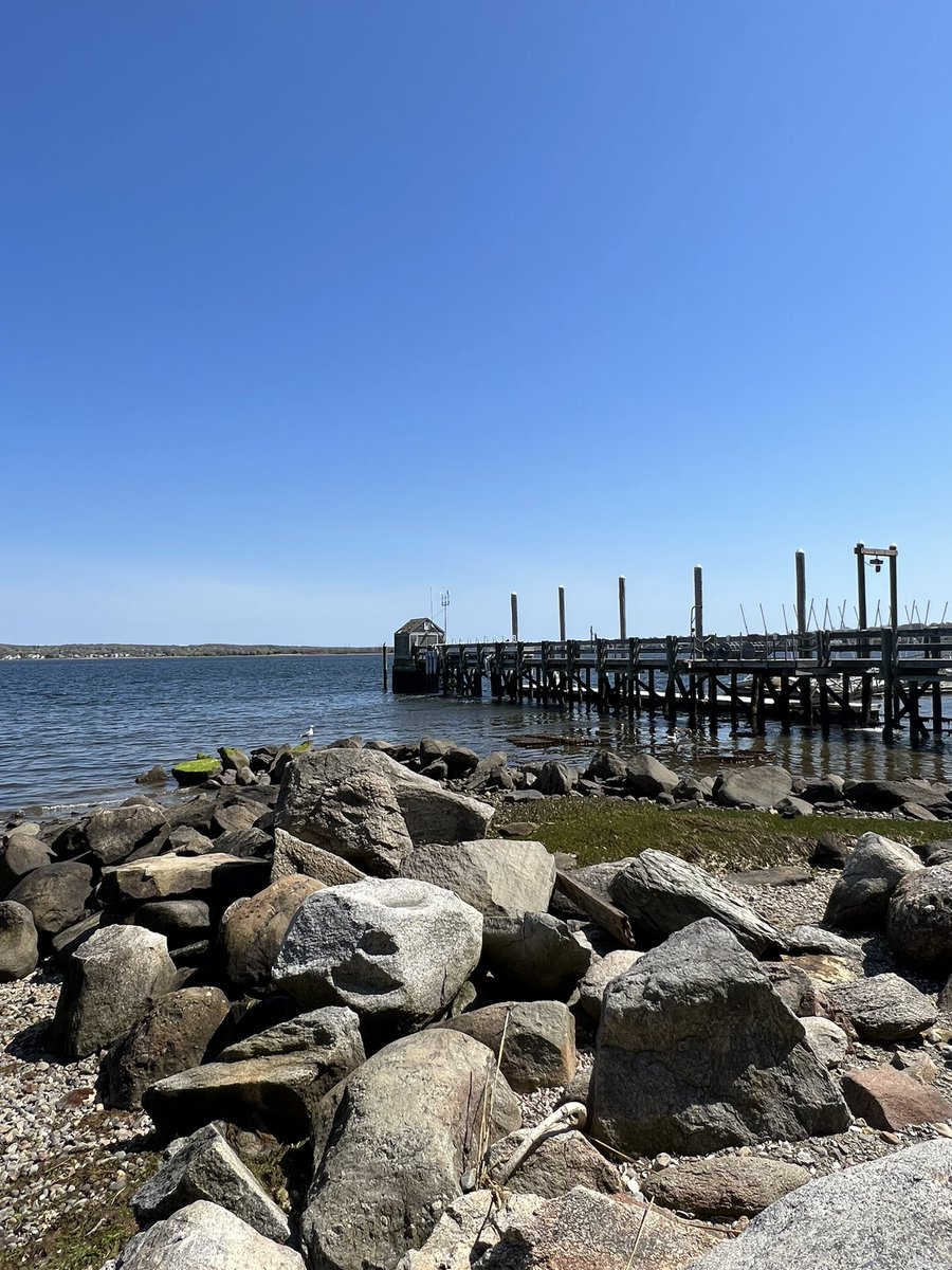 Chris R. Vaccaro tweet media