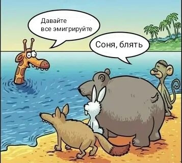 Dmitry Smirnov (@strangedecision) on Twitter photo 