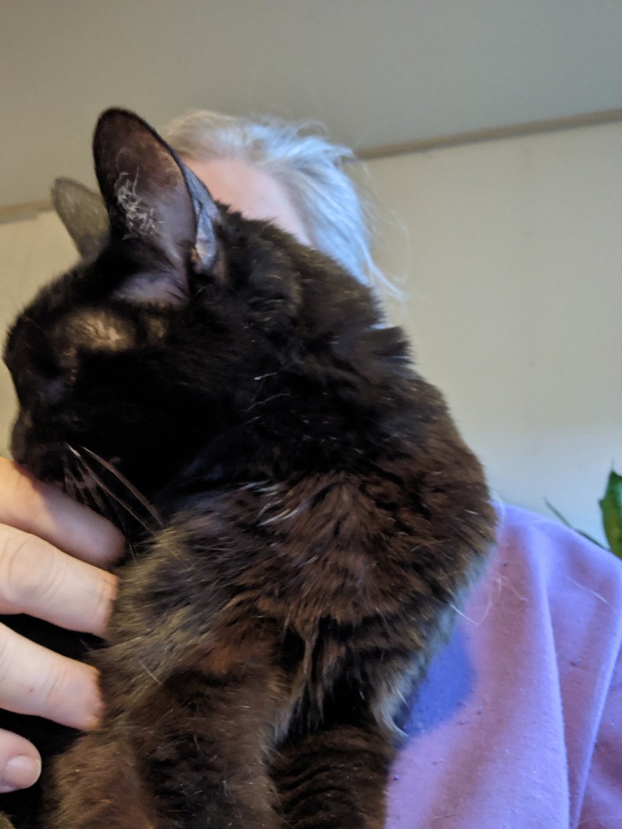 Dorene Cornwell tweet media