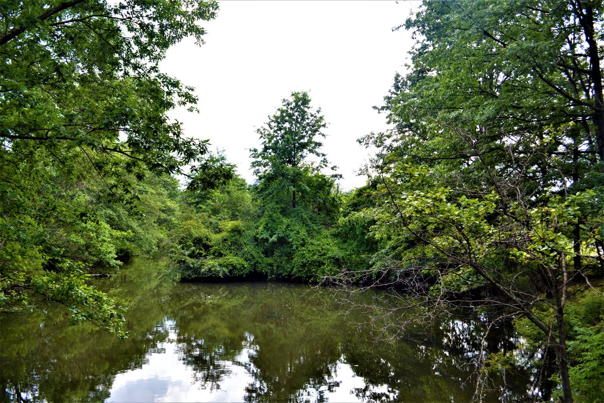 OneArchitecture's tweet photo. Around Fenway, MA. Photo: Meral Ekincioglu. #nature #NaturePhotography #Fenway #park #landscape #landscapephotography #Boston #visual #visualdocumentation #MeralEkincioglu #naturelover https://t.co/bjpCdlYB8z