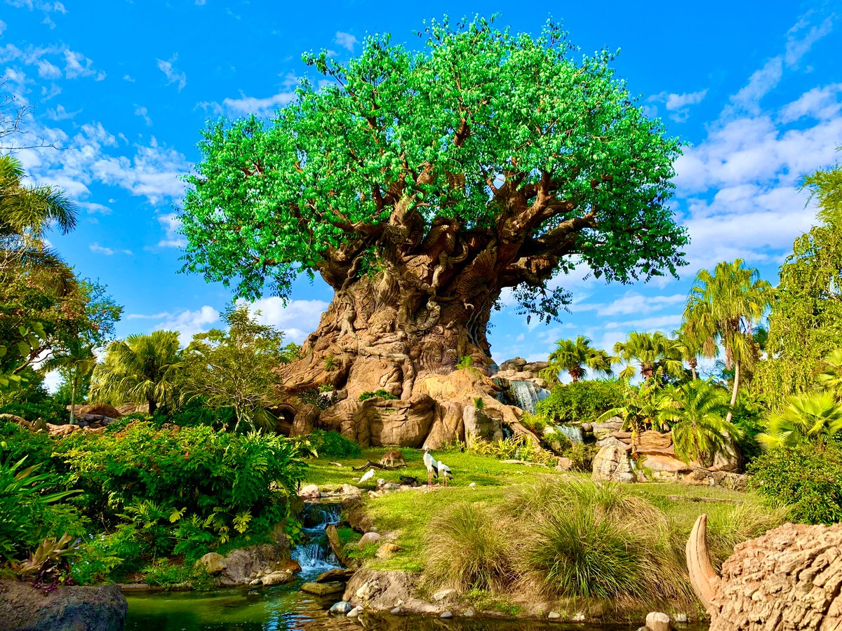 On this day in 1998, Disney's Animal Kingdom opened! #dak25