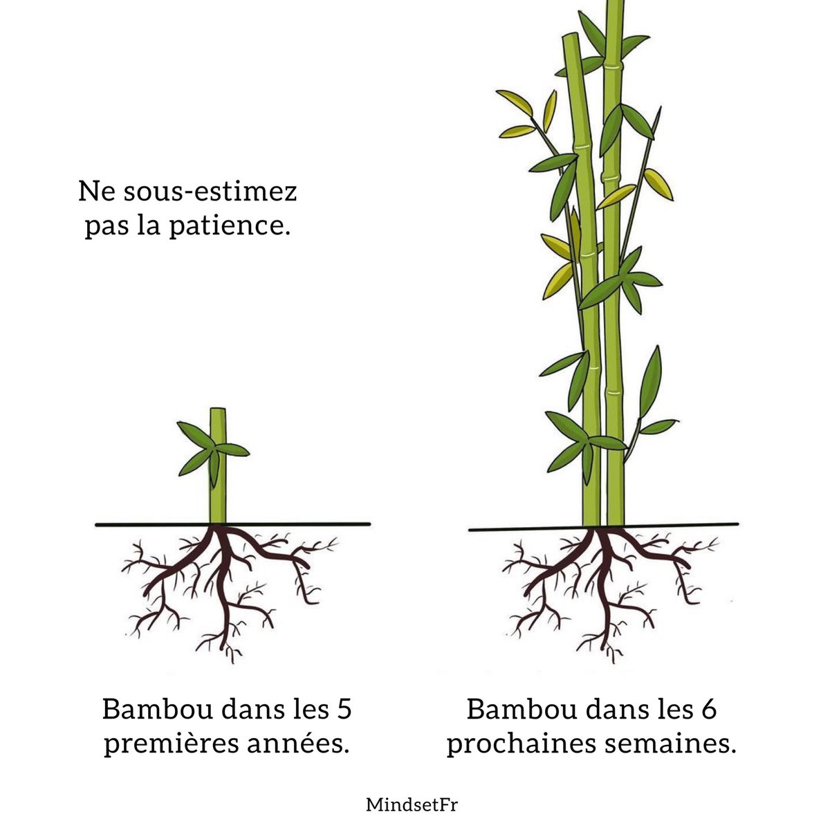 Mindset_FR's tweet photo. 10 visuels sur la vie que vous devriez voir.

1. Votre patience est essentielle https://t.co/d1IhZCO4Dh