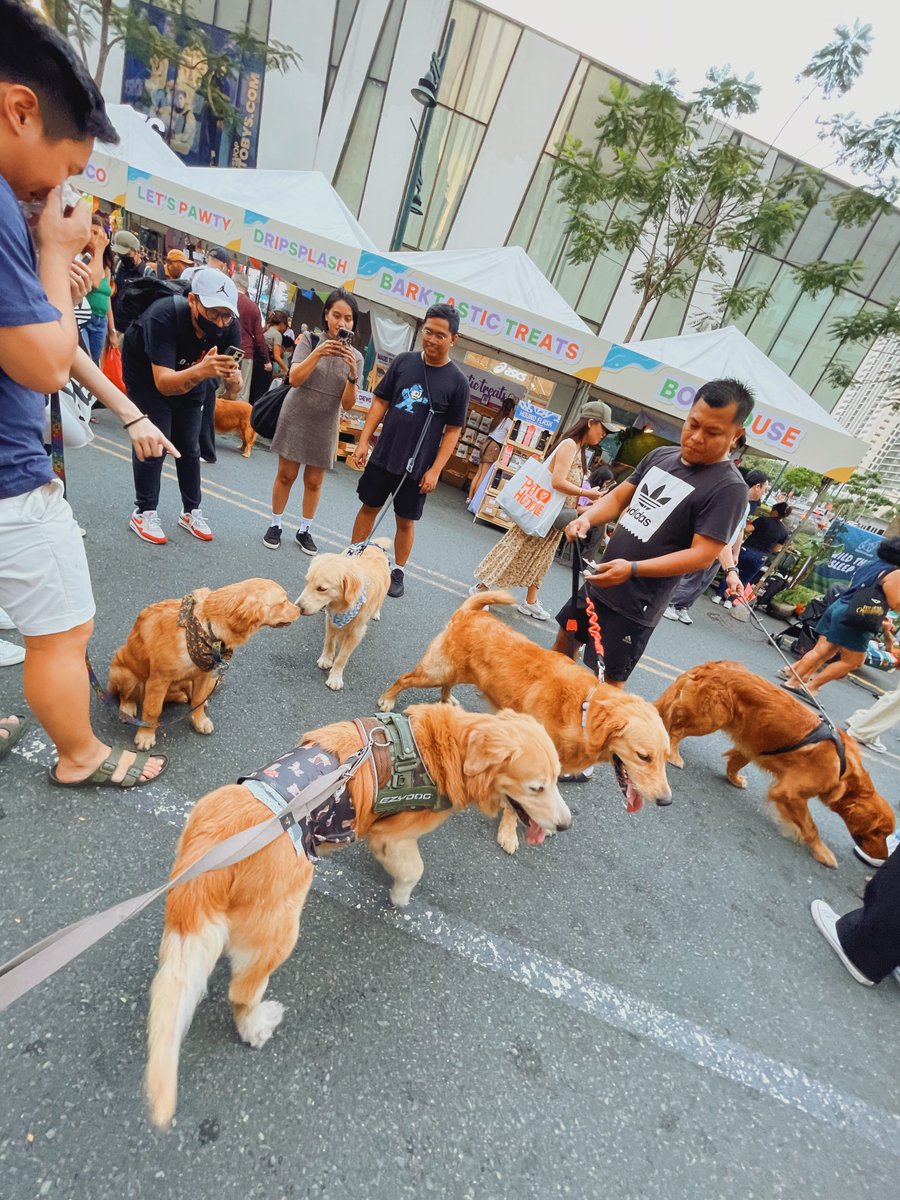 donfaustino's tweet photo. Summer pawty ๐พ #pethuddle https://t.co/jHCAV8Gimu