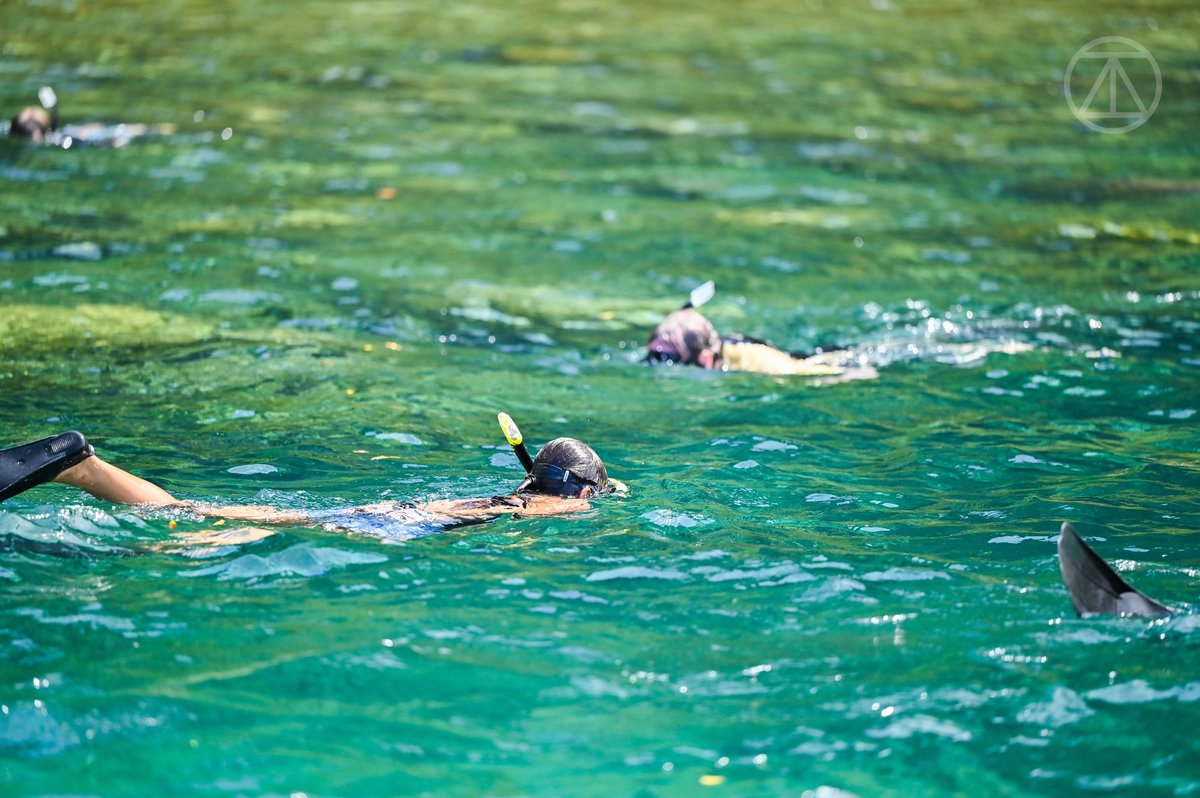 ACTAI Global tweet media