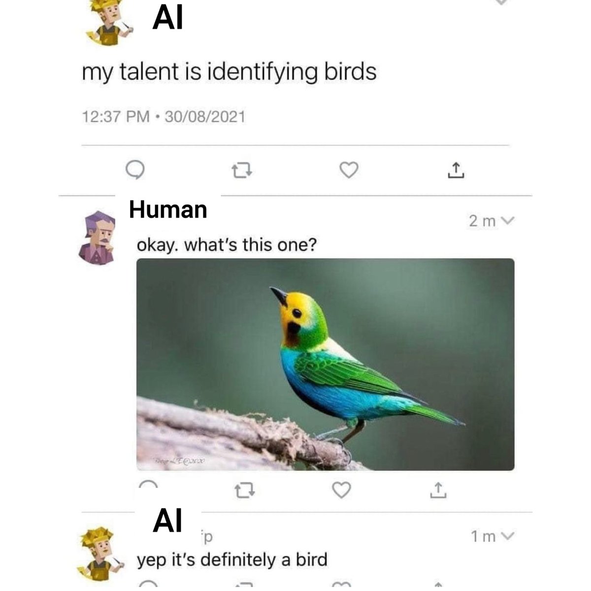 PR0GRAMMERHUM0R's tweet image. Having a bird detection AI in it's early stages be like reddit.com/r/programmerhu…