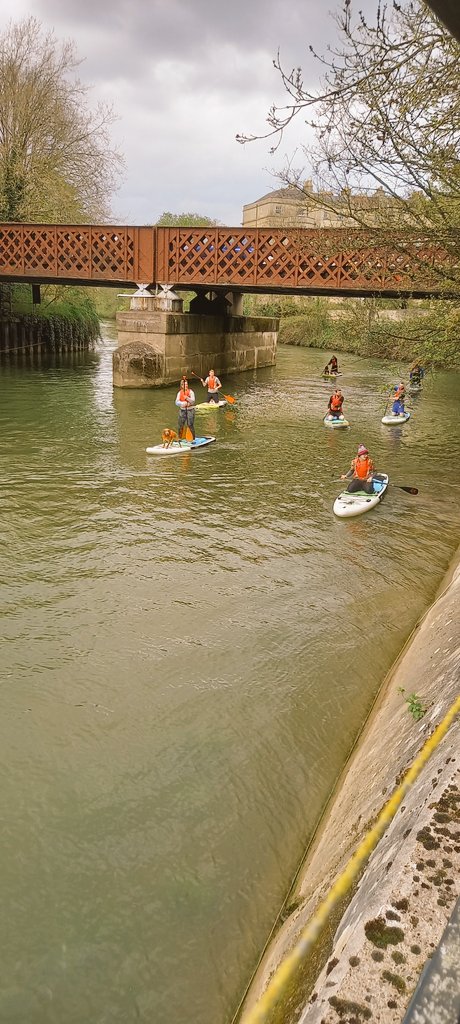 It's a dogs life <a href="/OriginalWild/">Original Wild</a>