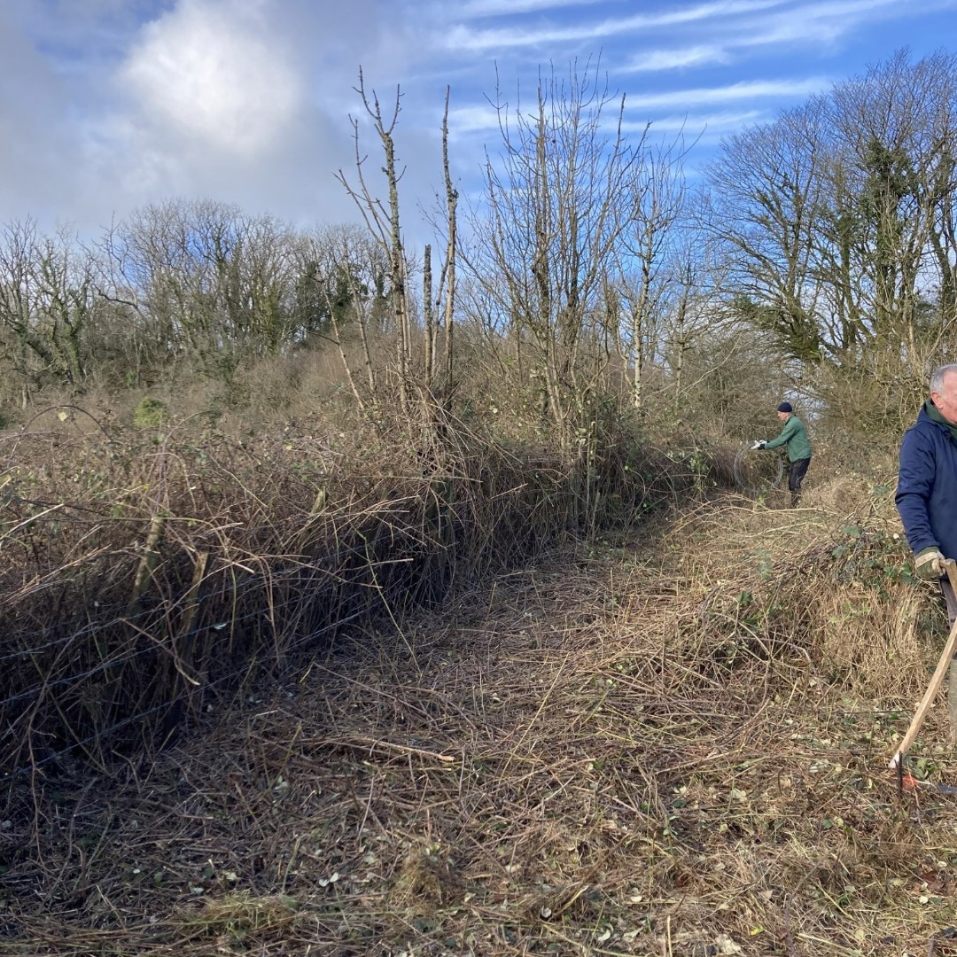 TataSteelUK's tweet photo. A group of graduates based at #Trostre Works partnered with @WildlifeTrusts to protect local wildlife and enhance woodlands in the area, making them safe for all to enjoy 🦉🌲 The group volunteered for two days, putting in lots of hard work and graft! Well done team 👏 #EarthDay https://t.co/l7nnljV4UA