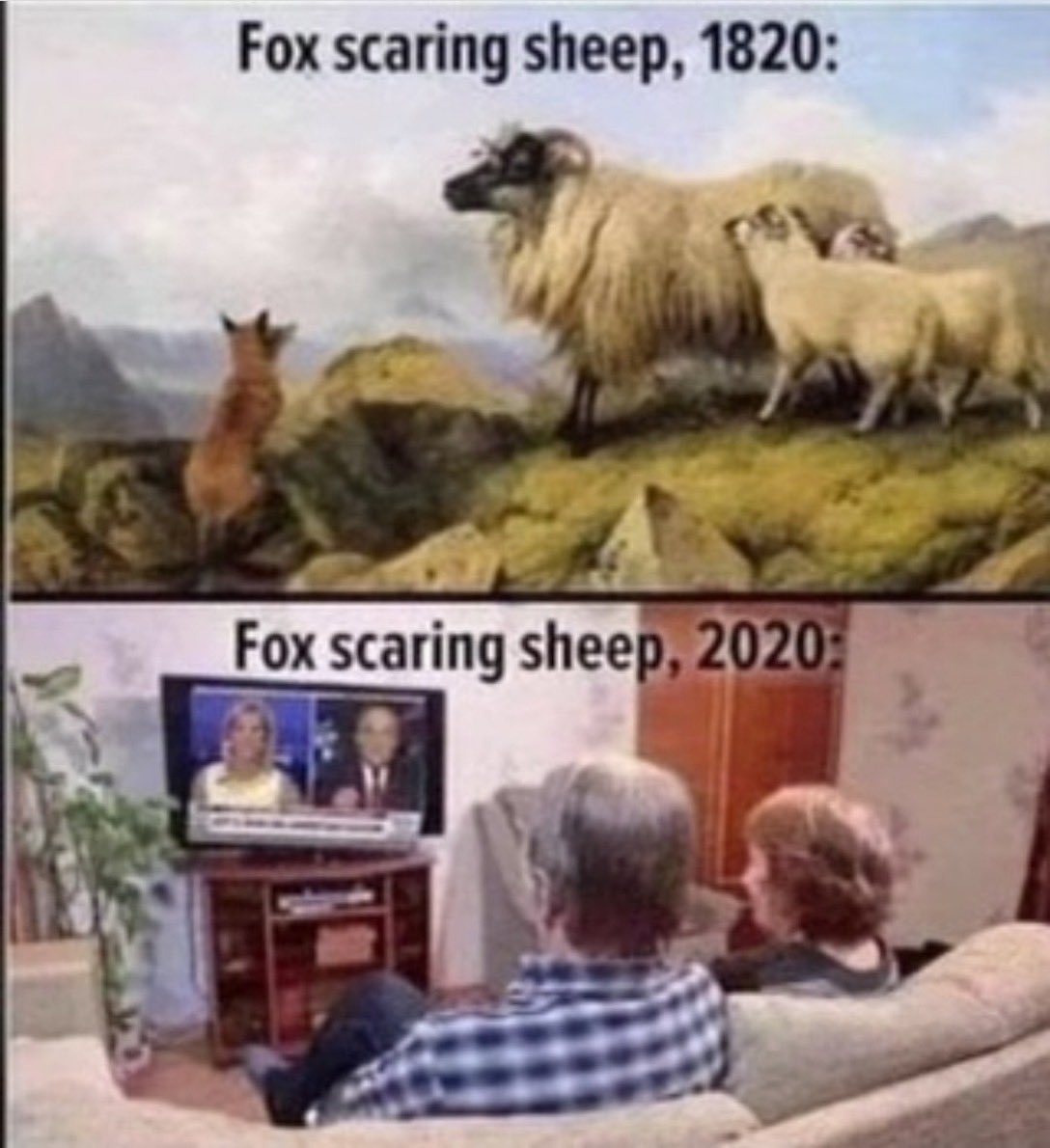 #USA #FoxPropaganda still scaring sheep in 2023! 
When will the sheep wake up to #MurdochLiars? 
Reality: The sheep are so conditioned to LIES, they’re more likely to wander off to a more conservative #RW channel. They have lost their critical thinking faculties.
#DemocracyCrisis